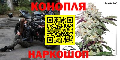 a pvp Краснознаменск