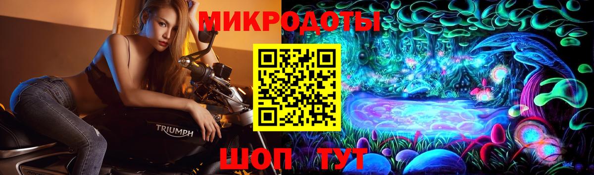 Псилоцибиновые грибы Cubensis Кашира
