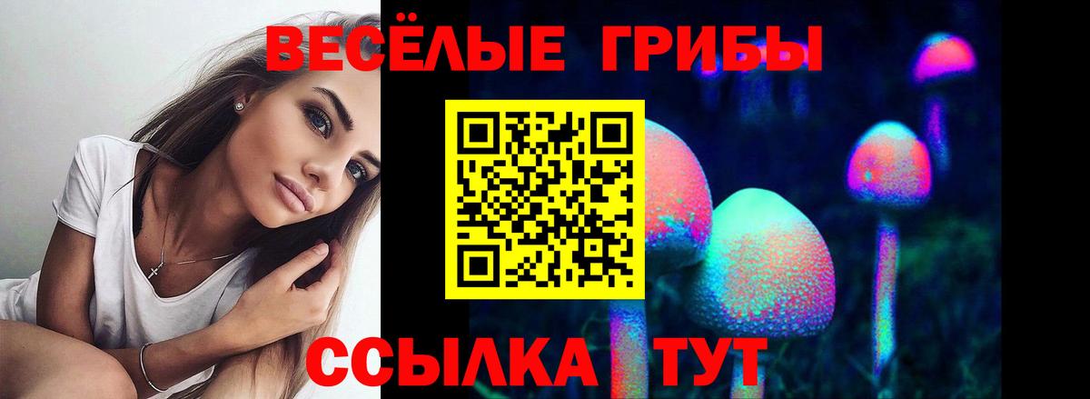 Галлюциногенные грибы ЛСД  Вход с VPN  Кашира 